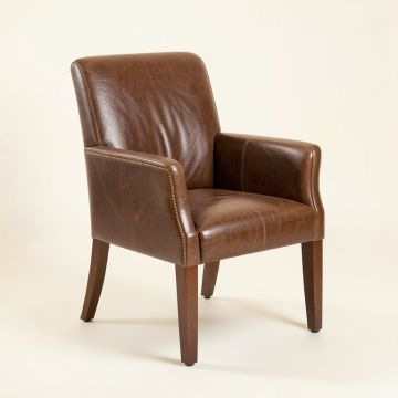 Alunna Genuine Leather Upholstered Dining Chair (synthetic illustration; no displayed measurements)