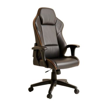 Home Office Ergonomic Chair