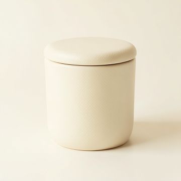 Pine Bend Storage Canister With Lid - Cream (synthetic illustration; no displayed measurements)