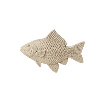 6 '' X 6 '' Cement Whole Fish Fossil Impression Decorative Accent Tile In Buff