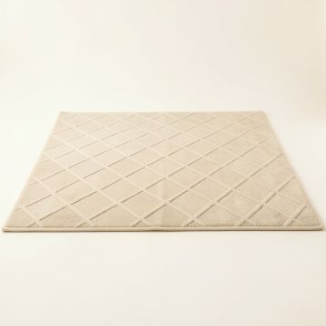 Cove Bridge Rectangular Area Rug - Beige (synthetic illustration; no displayed measurements)