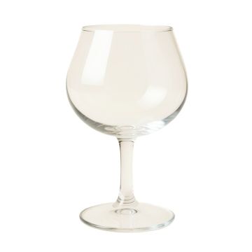 Navi Pineapple 17 Oz . Stemless Wine Glass