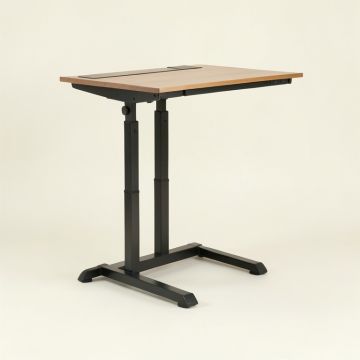 Lynnea Height Adjustable Standing Desk (synthetic illustration; no displayed measurements)