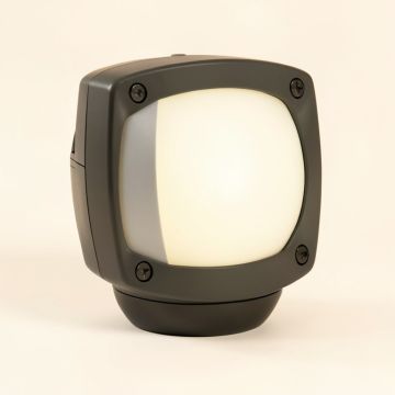 5.2 '' Solar Powered Integrated Led Lawn Ornament (synthetic illustration; no displayed measurements)