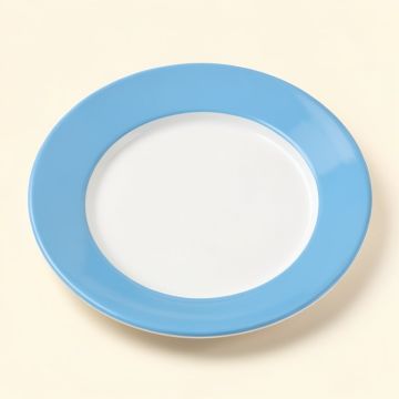 Helsingor Melamine 9.25 '' Salad Plate (synthetic illustration; no displayed measurements)
