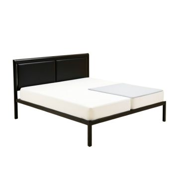 Binion Platform Bed