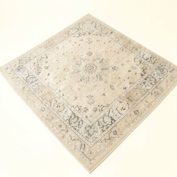Oriental Ivory , Beige , And Grey Area Rug (synthetic illustration; no displayed measurements)