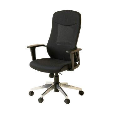 Vibrant Computer Task Chair