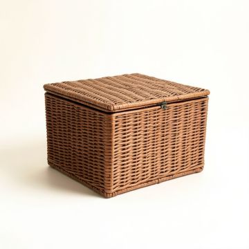 Meuric Water Resistant Wicker Deck Box (synthetic illustration; no displayed measurements)