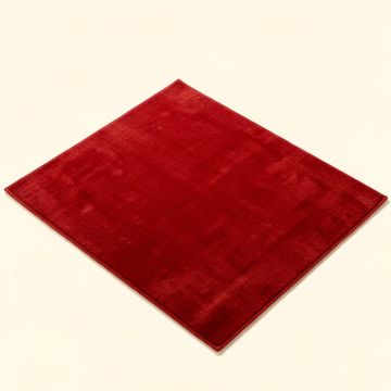 Molly Power Loom Red Rug (synthetic illustration; no displayed measurements)