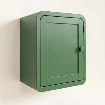 Briar Branch Wall-Mounted Laundry Cabinet - Green (synthetic illustration; no displayed measurements)