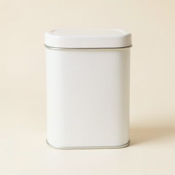 Spruce Bend Storage Canister With Lid - White (synthetic illustration; no displayed measurements)