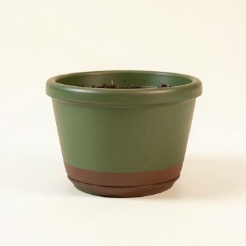 Chambersville Fairy Garden Basket Pot Planter (synthetic illustration; no displayed measurements)