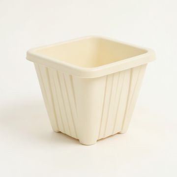 Willow Arc Empty Raised Planter - Cream (synthetic illustration; no displayed measurements)