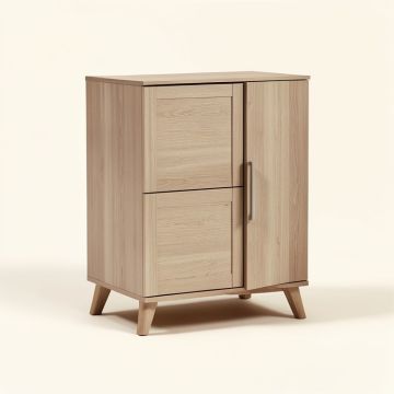 Cecile 1 Door Accent Cabinet (synthetic illustration; no displayed measurements)
