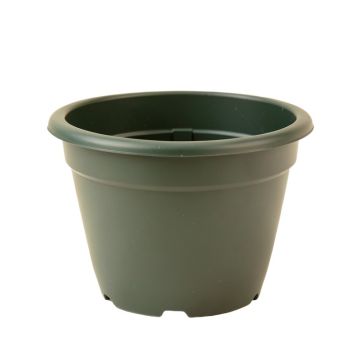 Reider Self-Watering Plastic Hanging Planter