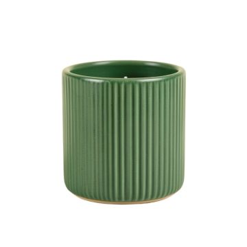 Dune Branch Empty Candle Holder - Green
