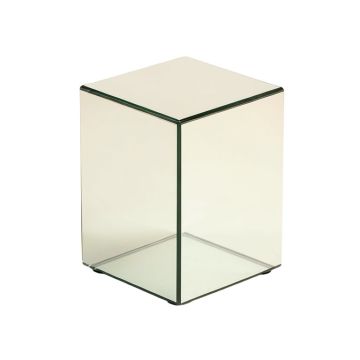 Charee Mirrored Cube End Table