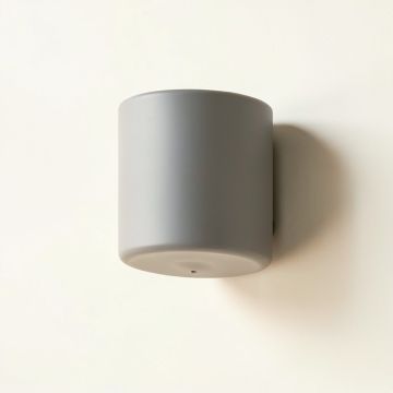 Birch Canyon Wall Sconce Mounted On A Plain Wall - Gray (synthetic illustration; no displayed measurements)