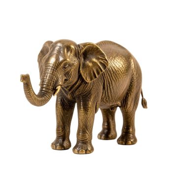 Aleppo Elephant In Frame