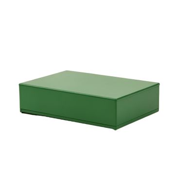 Reed Bluff Desktop Monitor Riser - Green