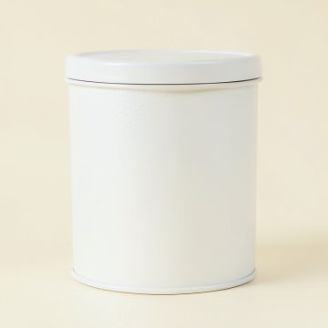 Willow Branch Storage Canister With Lid - White (synthetic illustration; no displayed measurements)