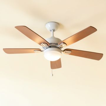 Winkleman 5 Blade Ceiling Fan , Light Kit Included (synthetic illustration; no displayed measurements)