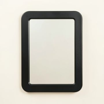 Spruce Branch Framed Wall Mirror - Black (synthetic illustration; no displayed measurements)