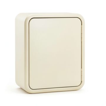 Spruce Dale Wall-Mounted Laundry Cabinet - Cream (synthetic illustration; no displayed measurements)
