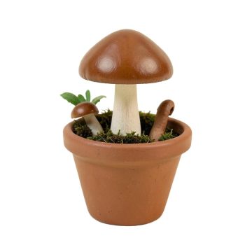 Wardlaw Mushroom Pot Fairy Garden