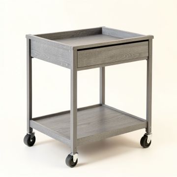 Elm Branch Empty Rolling Workshop Cart - Gray (synthetic illustration; no displayed measurements)