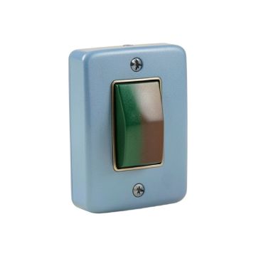 Peacock Proud Single Toggle Light Switch (synthetic illustration; no displayed measurements)