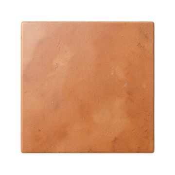 Flint Branch Uninstalled Square Decorative Tile - Terracotta