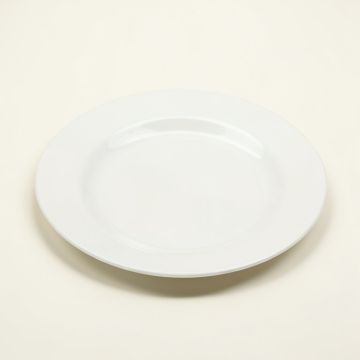 Glacier 8.5 '' Melamine Salad Plate (synthetic illustration; no displayed measurements)