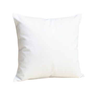 Bigley Throw Pillow Insert (synthetic illustration; no displayed measurements)