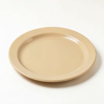 Holbeach 9 '' Melamine Salad Plate (synthetic illustration; no displayed measurements)