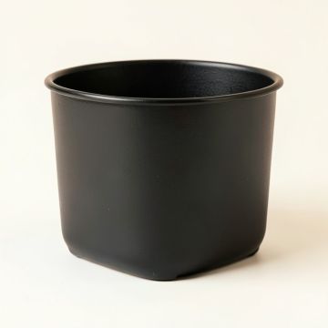 Fern Bluff Empty Raised Planter - Black (synthetic illustration; no displayed measurements)