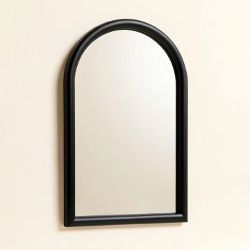 Sage Branch Framed Wall Mirror - Black (synthetic illustration; no displayed measurements)