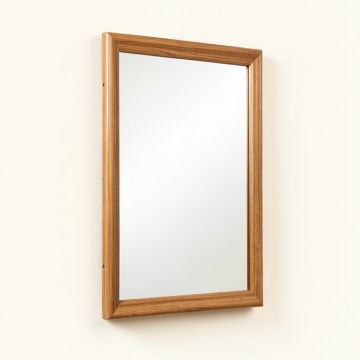 Hodgeman Wall Mirror (synthetic illustration; no displayed measurements)