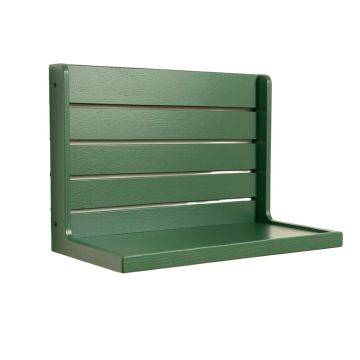 Ridge Crossing Wall-Mounted Entryway Organizer Shelf - Green