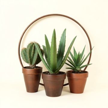 Cactus Succulent Aloe Vera Home Plants In The Pots - Farmhouse Metal Circle Wall Art (synthetic illustration; no displayed measurements)
