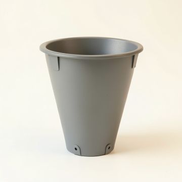 Maple Branch Empty Railing Planter With Integral Brackets - Gray (synthetic illustration; no displayed measurements)