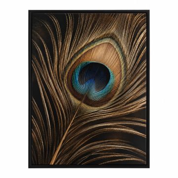 Peacock Feather 2 Graphic Art