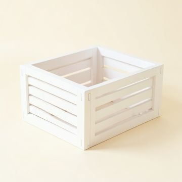 Summit Brook Empty Furniture-Style Litter Enclosure - White (synthetic illustration; no displayed measurements)