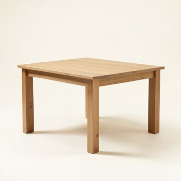 Mangan Extendable Dining Table (synthetic illustration; no displayed measurements)