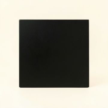 Cedar Branch Uninstalled Square Decorative Tile - Black (synthetic illustration; no displayed measurements)