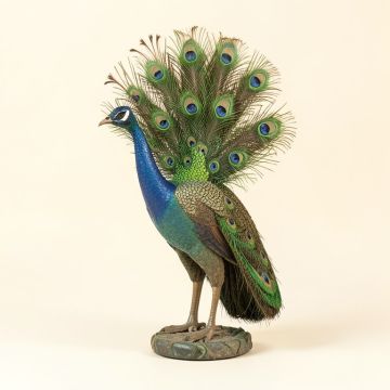 Dureau Peacock Decor (synthetic illustration; no displayed measurements)