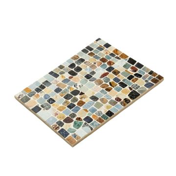 Grand Seashell Novelty Mosaic Wall & Floor Tile