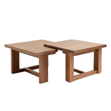 Solomon 2 Piece Coffee Table Set