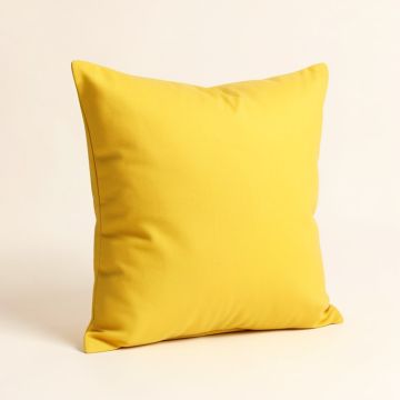 Klose Bright Decorative Square Pillow Cover & Insert (synthetic illustration; no displayed measurements)